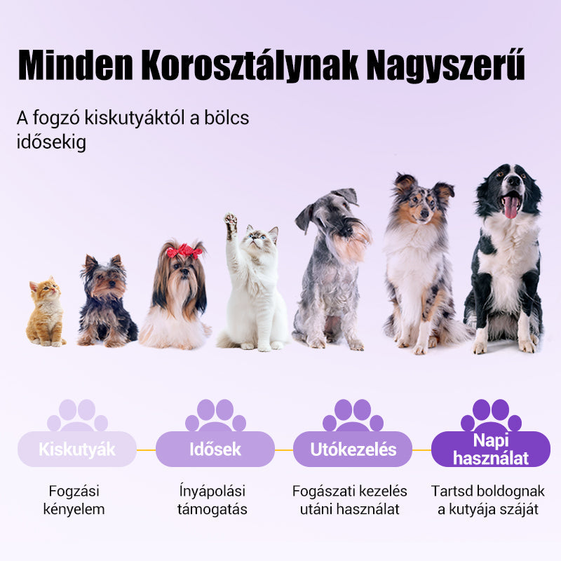 đUtolsĂł nap VĂĄsĂĄrolj 1et, kapj 1et ingyenđ±Pet OrĂĄlis javĂtĂł gĂ©lđ